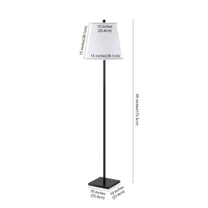 Safavieh GERALT, Sleek 69-Inch Iron Floor Lamp for Modern Spaces - Ambient Lighting and Minimalist Design Black FLL4123A