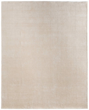 Feizy Rugs Fleetwood Traditional Woven Accent Rug Neutral Ivory Tan Texture for Bedroom or Office FLT8A06FBGE000C50