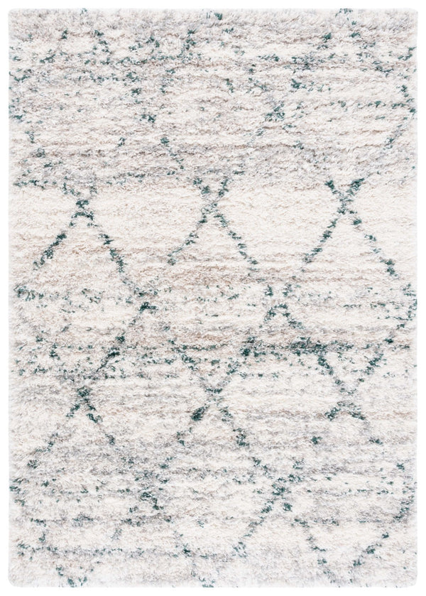 Safavieh Fontana Shag 886 Power Loomed Shag & Flokati Rug FNT886Y-5