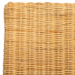 Safavieh Sanibel Side Chair W/ Cushion FOX6541B-SET2