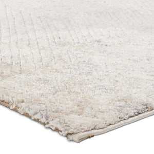 Jaipur Living Jaipur Living Natrix Power Loomed Geometric Rug with Carved High Low Pile Texture RSW104703