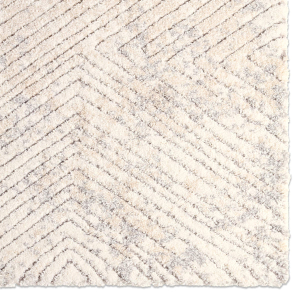Jaipur Living Jaipur Living Natrix Power Loomed Geometric Rug with Carved High Low Pile Texture RSW104703