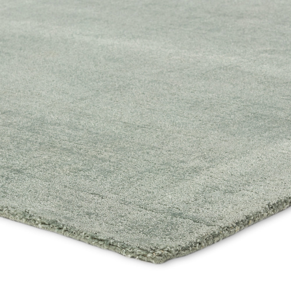 Jaipur Living Fletcher Arcus FTR03 Handmade Handwoven Indoor Rug Seafoam green 3' x 8' RNR