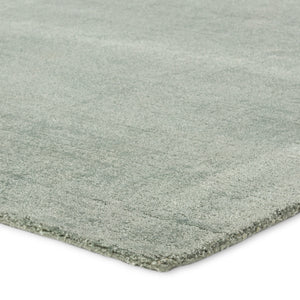 Jaipur Living Fletcher Arcus FTR03 Handmade Handwoven Indoor Rug Seafoam green 3' x 8' RNR