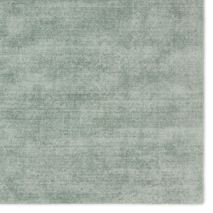 Jaipur Living Fletcher Arcus FTR03 Handmade Handwoven Indoor Rug Seafoam green 3' x 8' RNR