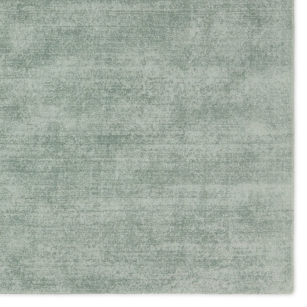 Jaipur Living Fletcher Arcus FTR03 Handmade Handwoven Indoor Rug Seafoam green 3' x 8' RNR