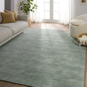 Jaipur Living Fletcher Arcus FTR03 Handmade Handwoven Indoor Rug Seafoam green 3' x 8' RNR