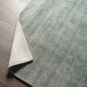 Jaipur Living Jaipur Living Fletcher Handwoven Recycled Pet Cut Loop Pile Indoor Outdoor Rug Seafoam green RSW104743