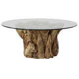 Uttermost Driftwood Glass Top Large Coffee Table 22876 TEAK ROOT TABLE WITH GLASS