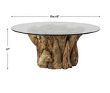 Uttermost Driftwood Glass Top Large Coffee Table 22876 TEAK ROOT TABLE WITH GLASS