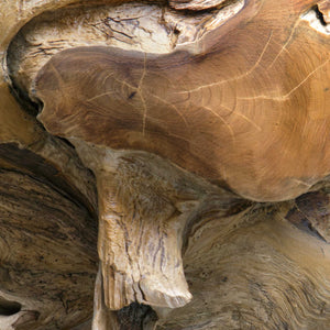 Uttermost Sola Outdoor Side Table - Handcrafted Natural Teak Design For Indoor/Outdoor Elegance Brown,Woodtone Teak Wood 50179