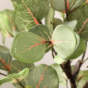 Safavieh FAUX 34.25-Inch Potted Eucalyptus Tree - Lifelike Greenery for Home, Office, or Retail Decor FXP1001A