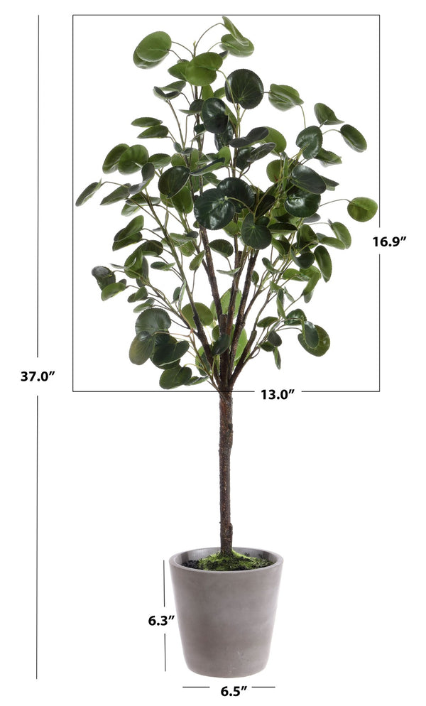Safavieh FAUX 37 Inch Potted Polyscias Fruticosa Tree - Lifelike Indoor Plant for Effortless Greenery Decor FXP1002A