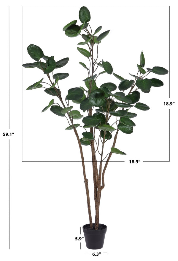 Safavieh FAUX 59 Inch Potted Polyscias Tree - Lifelike, Low-Maintenance Home Décor for Any Space, Stylish & Stable FXP1003A