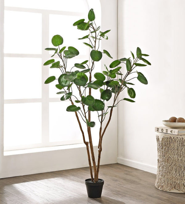 Safavieh FAUX 59 Inch Potted Polyscias Tree - Lifelike, Low-Maintenance Home Décor for Any Space, Stylish & Stable FXP1003A