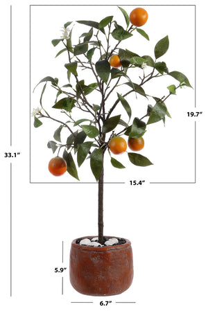 Safavieh FAUX 33-Inch Potted Orange Tree – Lifelike, Low-Maintenance Decor for Home & Office Spaces FXP1004A