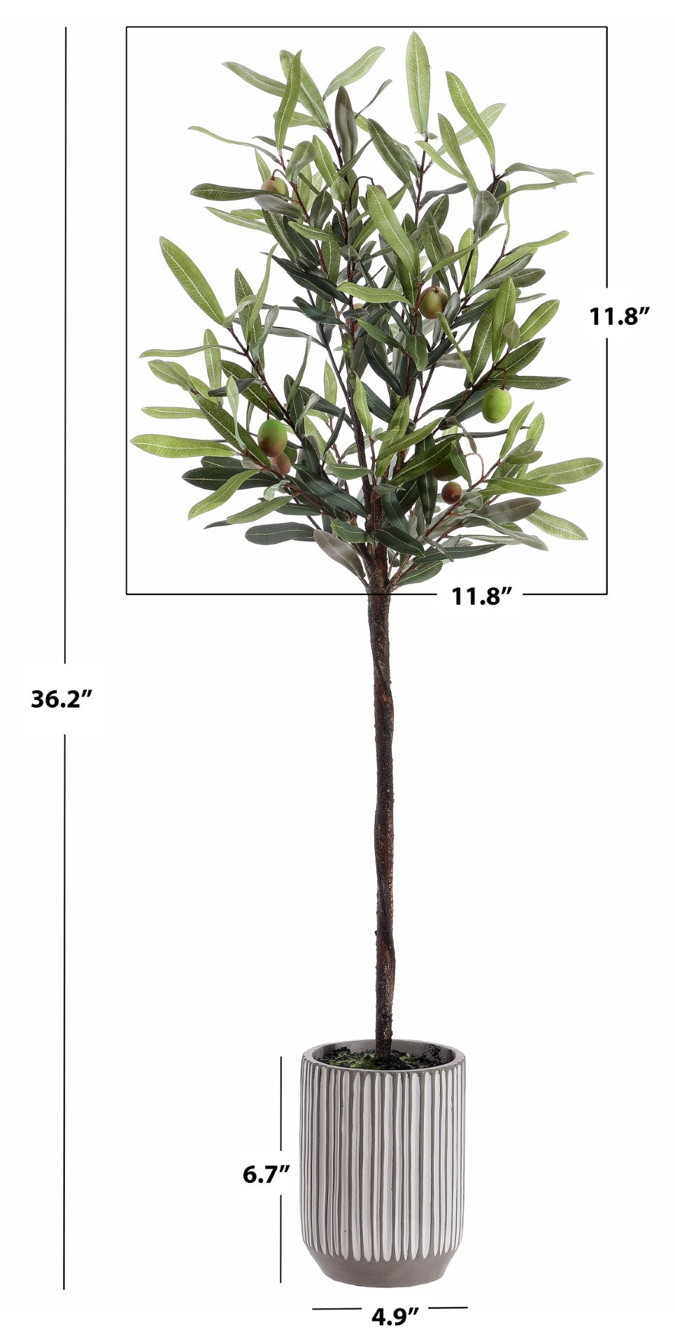 Safavieh FAUX 36 Inch Potted Olive Tree – Lifelike Mediterranean Charm for Year-Round Greenery & Decor FXP1007A