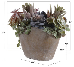 Safavieh FAUX 13-Inch Green and Brown Potted Succulent - Lifelike, No-Maintenance Decorative Plant for Any Space FXP1010A