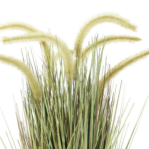 Safavieh FAUX 21-Inch Potted Grass Plant - Realistic Foxtail Design for Low-Maintenance Greenery Decor FXP2000A