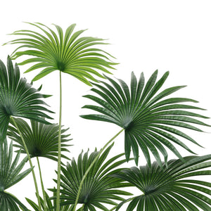 Safavieh FAUX 72 Inch Potted Palm Tree - Lifelike Tropical Decor for Low-Maintenance Indoor & Outdoor Style FXP2005A