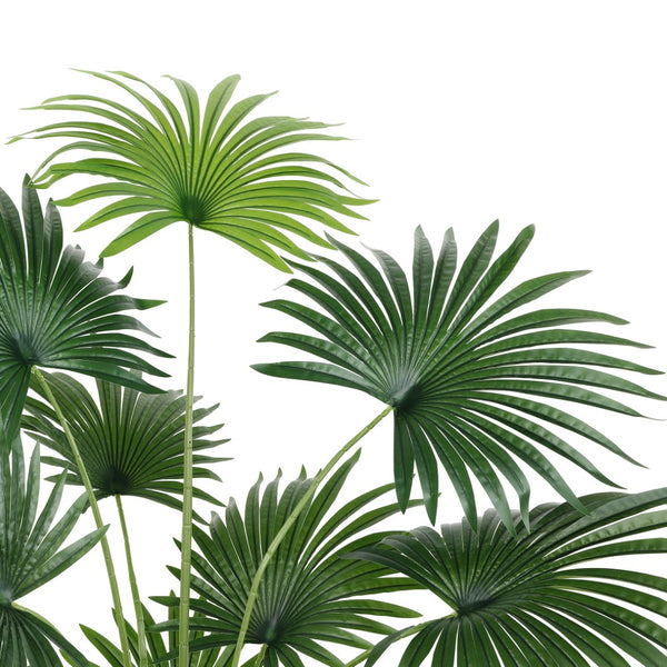 Safavieh FAUX 72 Inch Potted Palm Tree - Lifelike Tropical Decor for Low-Maintenance Indoor & Outdoor Style FXP2005A