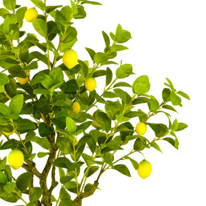 Safavieh FAUX 60-Inch Potted Lemon Tree – Lifelike, Low-Maintenance Indoor Plant for Vibrant Home Decor FXP2011A