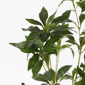 Safavieh FAUX 32-Inch Potted Pieris Japonica Plant - Lifelike Greenery for Effortless Home Décor Styling FXP2012A