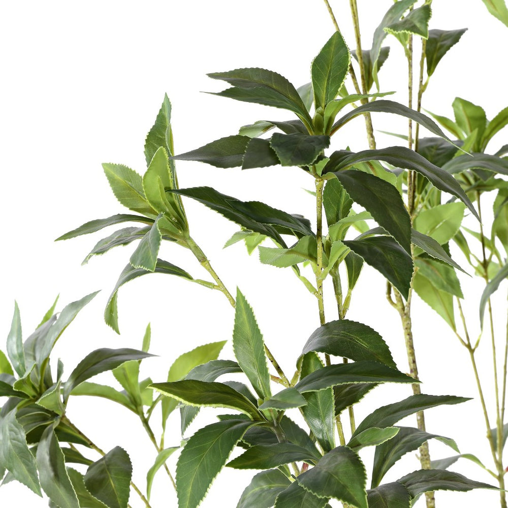 Safavieh FAUX 60 Inch Potted Pieris Japonica Plant - Lifelike Greenery for Effortless Indoor Elegance & Style FXP2013A
