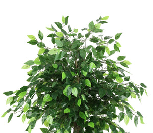 Safavieh FAUX 55 Inch Potted Ficus Tree - Lifelike Tropical Decor for Homes, Offices & Retail Spaces, Low-Maintenance FXP2014A