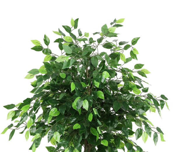 Safavieh FAUX 55 Inch Potted Ficus Tree - Lifelike Tropical Decor for Homes, Offices & Retail Spaces, Low-Maintenance FXP2014A