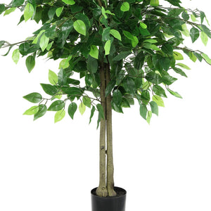 Safavieh FAUX 55 Inch Potted Ficus Tree - Lifelike Tropical Decor for Homes, Offices & Retail Spaces, Low-Maintenance FXP2014A