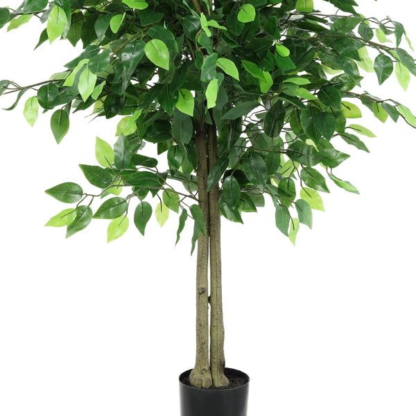 Safavieh FAUX 55 Inch Potted Ficus Tree - Lifelike Tropical Decor for Homes, Offices & Retail Spaces, Low-Maintenance FXP2014A