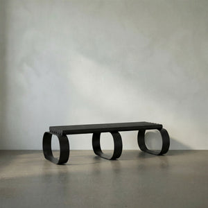 Satish Industrial Steel Bench with Matte Black Finish for Entryway or Bedroom