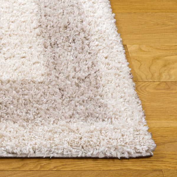 Safavieh Gemma Contemporary Ivory And Beige Shag Rug — Soft Low-Profile Texture, Stain-Resistant, Modern Anchor 8'-0" x 10'-0" GMA608A-8