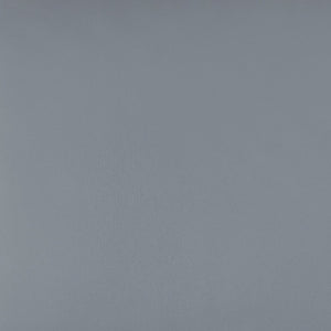 English Elm James Mid-Back Executive Office Chair with Ergonomic Design, Plush Padding, and Smooth Mobility Gray LeatherSoft/Chrome Frame GO-21111B-GY-CHR-GG