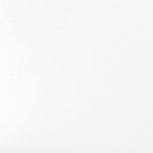 English Elm James Mid-Back Executive Office Chair with Ergonomic Design, Plush Padding, and Smooth Mobility White LeatherSoft/Chrome Frame GO-21111B-WH-CHR-GG