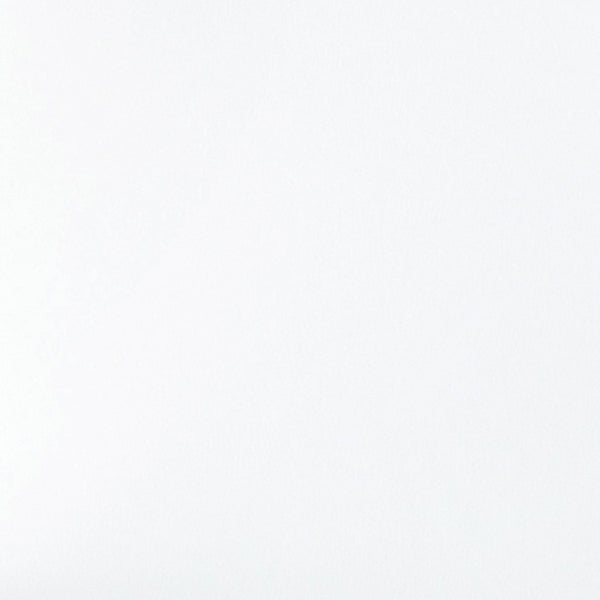 English Elm James Mid-Back Executive Office Chair with Ergonomic Design, Plush Padding, and Smooth Mobility White LeatherSoft/Chrome Frame GO-21111B-WH-CHR-GG