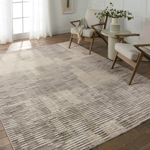 Jaipur Living Graphite Gravity Modern Industrial Machine Made Indoor Rug Gray 8'x10'