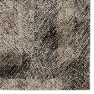 Jaipur Living Graphite Dairon Gra04 Powerloomed Machinemade 100% Polyester Lines Abstract Indoor Rug Black, Gray 100% Polyester Rug155198