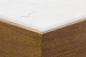 Noir Amsterdam Coffee Table - Unique Hexagonal Bianco Crown Marble Top with Artisan Walnut Base Design GTAB1024DW