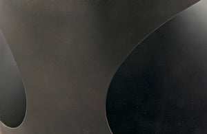 Noir Eclipse Oval Coffee Table - Modern Matte Black Iron Design, Industrial Elegance for Any Space GTAB132MTB