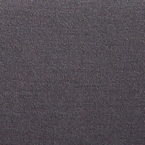 Manhattan Comfort Raspberry Modern Accent Chair (Set of 2) Grey and Polished Chrome 2-AC038-GY