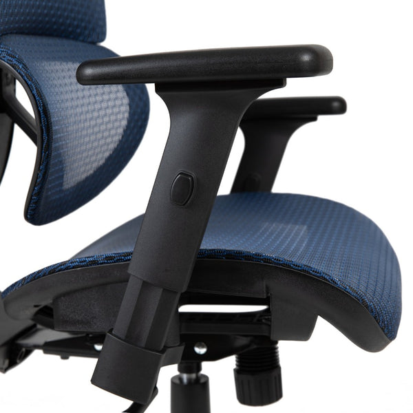 English Elm LO Ergonomic Mesh Office Chair with Adjustable Headrest, Lumbar Support, Synchro-Tilt for Comfort Blue H-LC-1388F-1K-BL-GG