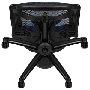 English Elm LO Ergonomic Mesh Office Chair with Adjustable Headrest, Lumbar Support, Synchro-Tilt for Comfort Blue H-LC-1388F-1K-BL-GG