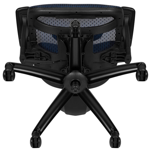 English Elm LO Ergonomic Mesh Office Chair with Adjustable Headrest, Lumbar Support, Synchro-Tilt for Comfort Blue H-LC-1388F-1K-BL-GG