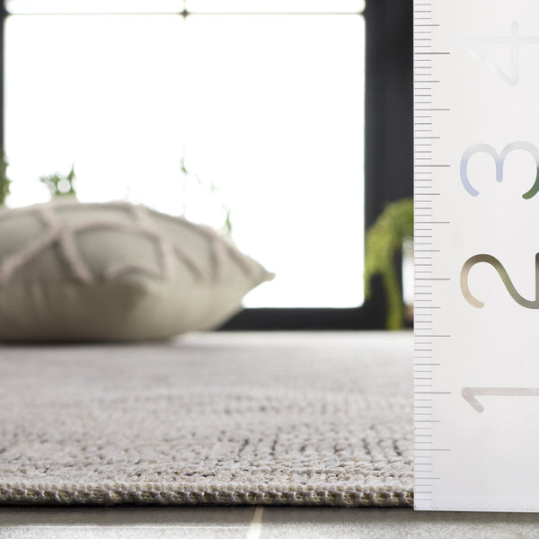 Safavieh Hammock Elegant Transitional Area Rug – Stylish Power Loomed Chenille Polyester For Any Room Decor Ivory ,Grey Chenille Polyester Hak306a-5