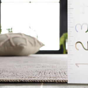 Safavieh Hammock Elegant Area Rug In Ivory And Grey - Soft Chenille Polyester For Effortless Style And Comfort Ivory ,Grey Chenille Polyester Hak306a-6