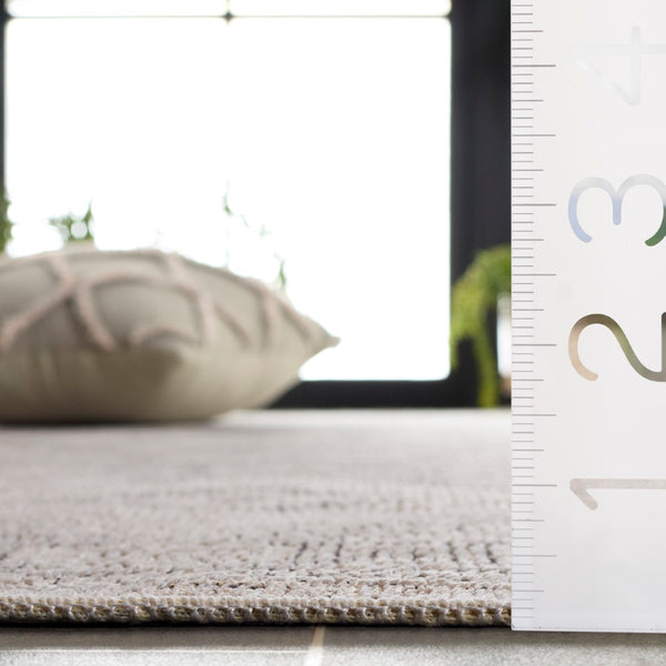 Safavieh Hammock Elegant Area Rug In Ivory And Grey - Soft Chenille Polyester For Effortless Style And Comfort Ivory ,Grey Chenille Polyester Hak306a-6