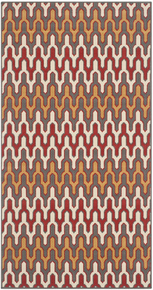 Safavieh Hampton 518 Power Loomed  Rug Dark Grey / Rust HAM518CD-3