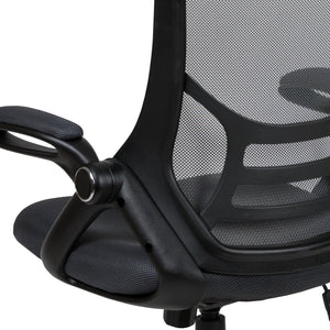 English Elm Porter High Back Ergonomic Mesh Swivel Office Chair with Lumbar Support and Adjustable Features Dark Gray HL-0016-1-BK-DKGY-GG